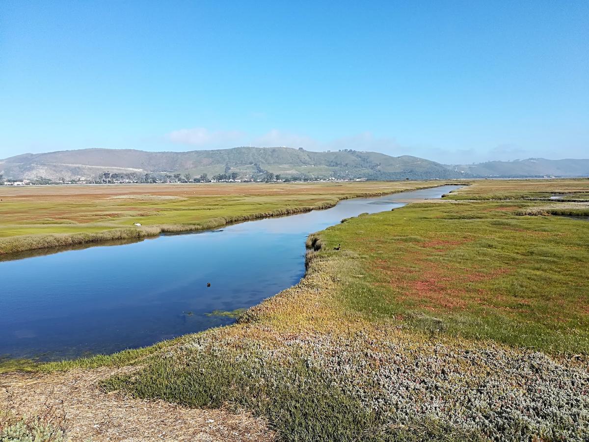Knysna Herons Guest House Экстерьер фото