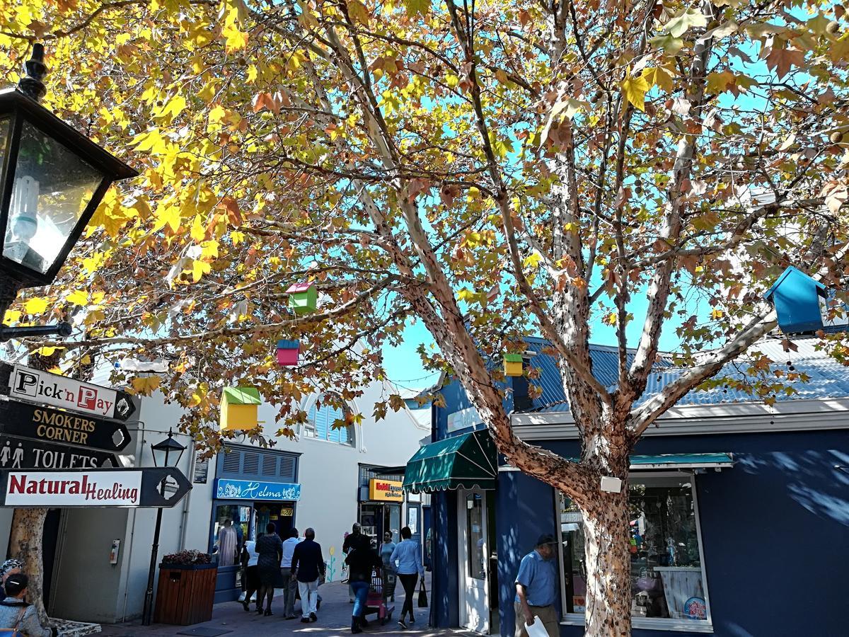 Knysna Herons Guest House Экстерьер фото